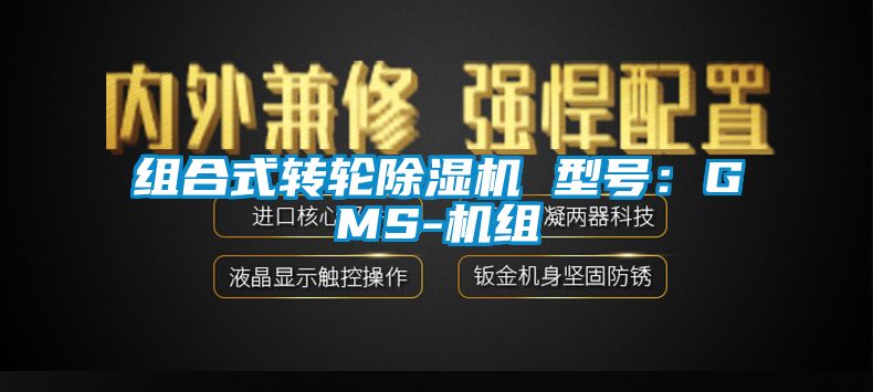 欧美黄色性爱视频网站 组合式转轮除湿机 型号：GMS-机组