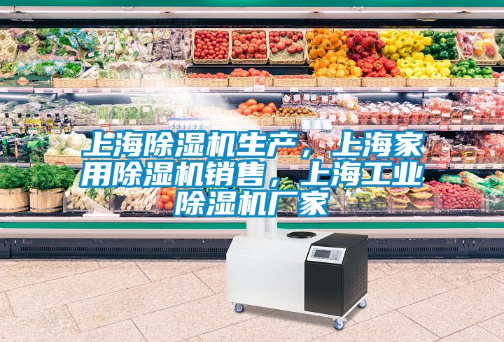 欧美黄色性爱视频网站 上海除湿机生产，上海家用除湿机销售，上海工业除湿机厂家