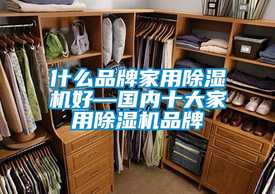 欧美成色手机在线观看 什么品牌家用除湿机好—国内十大家用除湿机品牌