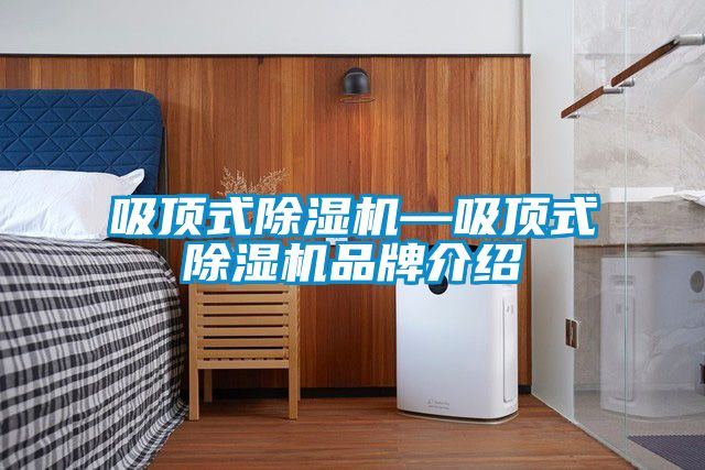 欧美黄色电影在线播放 吸顶式除湿机—吸顶式除湿机品牌介绍