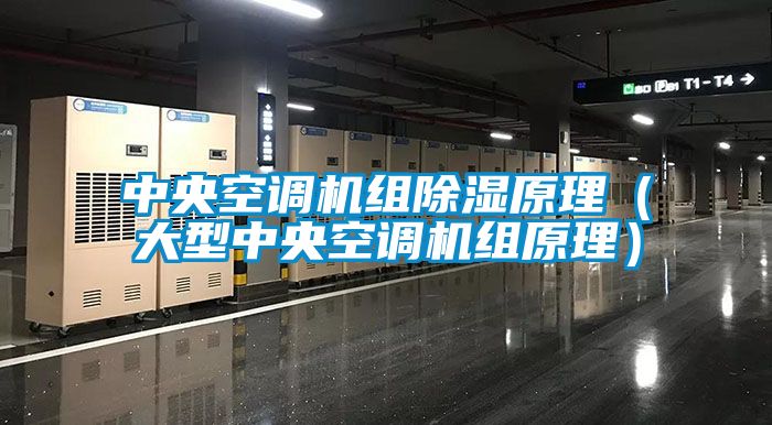 欧美成色手机在线观看 中央空调机组除湿原理（大型中央空调机组原理）