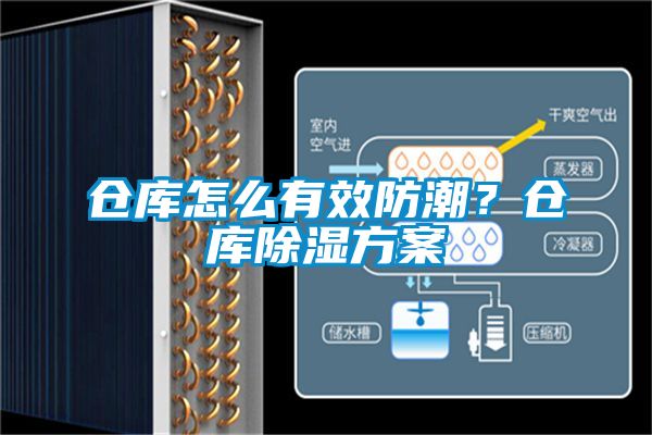 欧美成色手机在线观看 仓库怎么有效防潮？仓库除湿方案