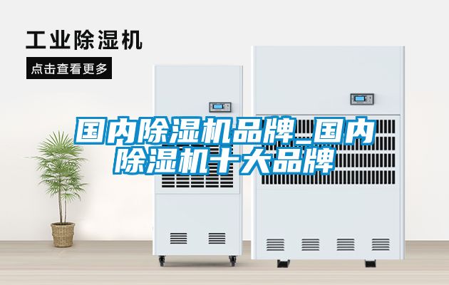 欧美黄色性爱视频网站 国内除湿机品牌_国内除湿机十大品牌