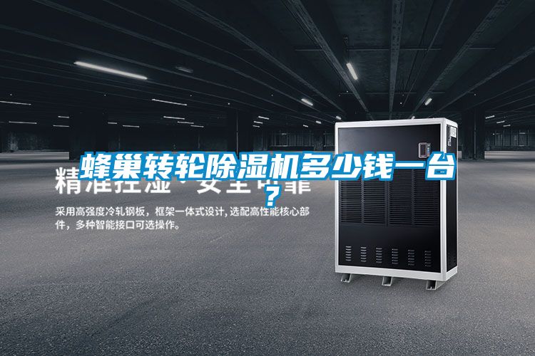 欧美黄色性爱视频网站 蜂巢转轮除湿机多少钱一台？