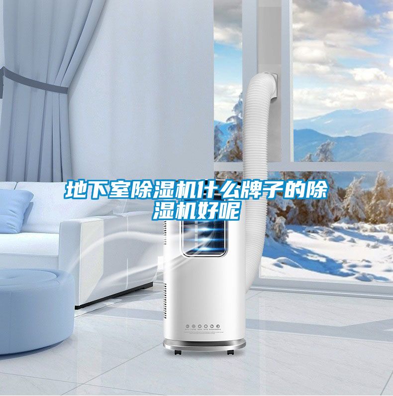 欧美成色手机在线观看 地下室除湿机什么牌子的除湿机好呢