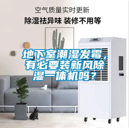 欧美成色手机在线观看 地下室潮湿发霉，有必要装新风除湿一体机吗？
