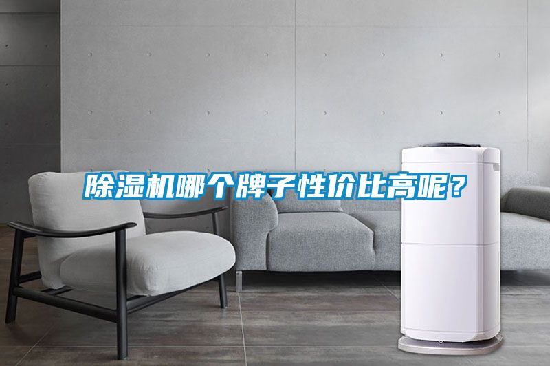 欧美黄色性爱视频网站 除湿机哪个牌子性价比高呢？