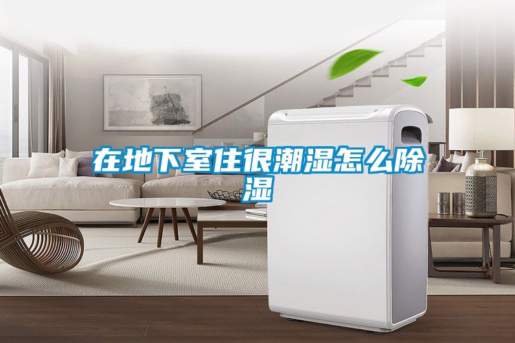 欧美黄色性爱视频网站 在地下室住很潮湿怎么除湿