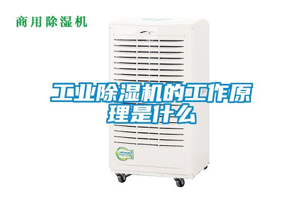 欧美成色手机在线观看 工业除湿机的工作原理是什么