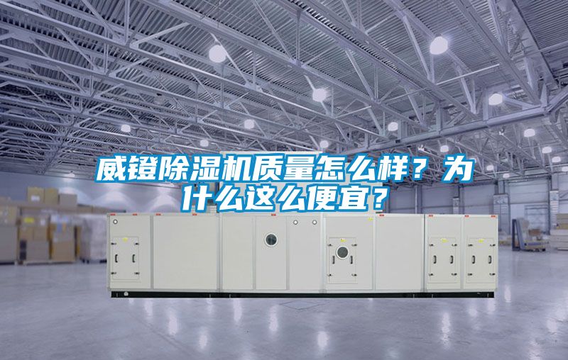 欧美黄色电影在线播放 威镫除湿机质量怎么样？为什么这么便宜？