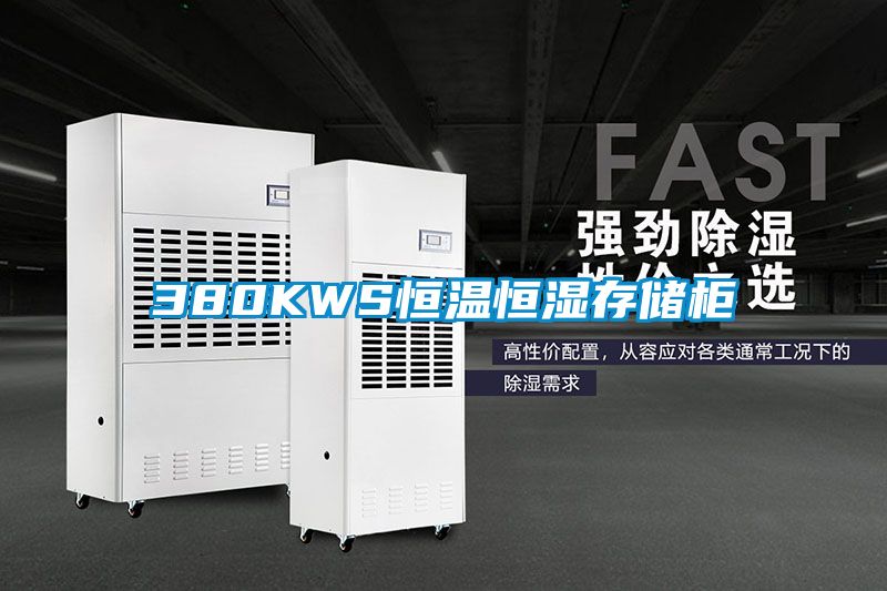 欧美黄色电影在线播放 380KWS恒温恒湿存储柜