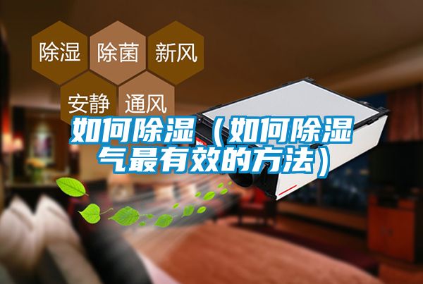 欧美成色手机在线观看 如何除湿（如何除湿气最有效的方法）