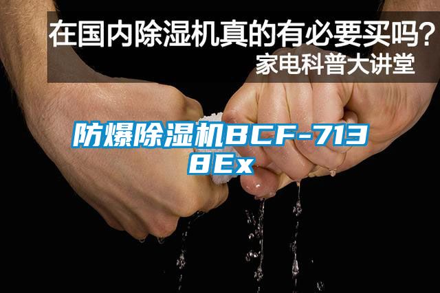 防爆除湿机BCF-7138Ex
