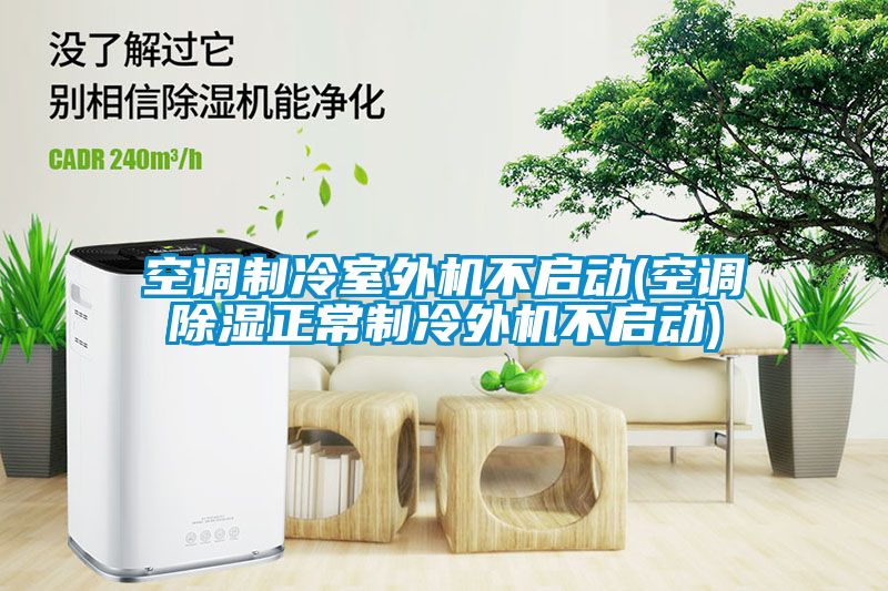 欧美黄色电影在线播放 空调制冷室外机不启动(空调除湿正常制冷外机不启动)