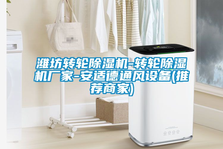 欧美黄色性爱视频网站 潍坊转轮除湿机-转轮除湿机厂家-安适德通风设备(推荐商家)