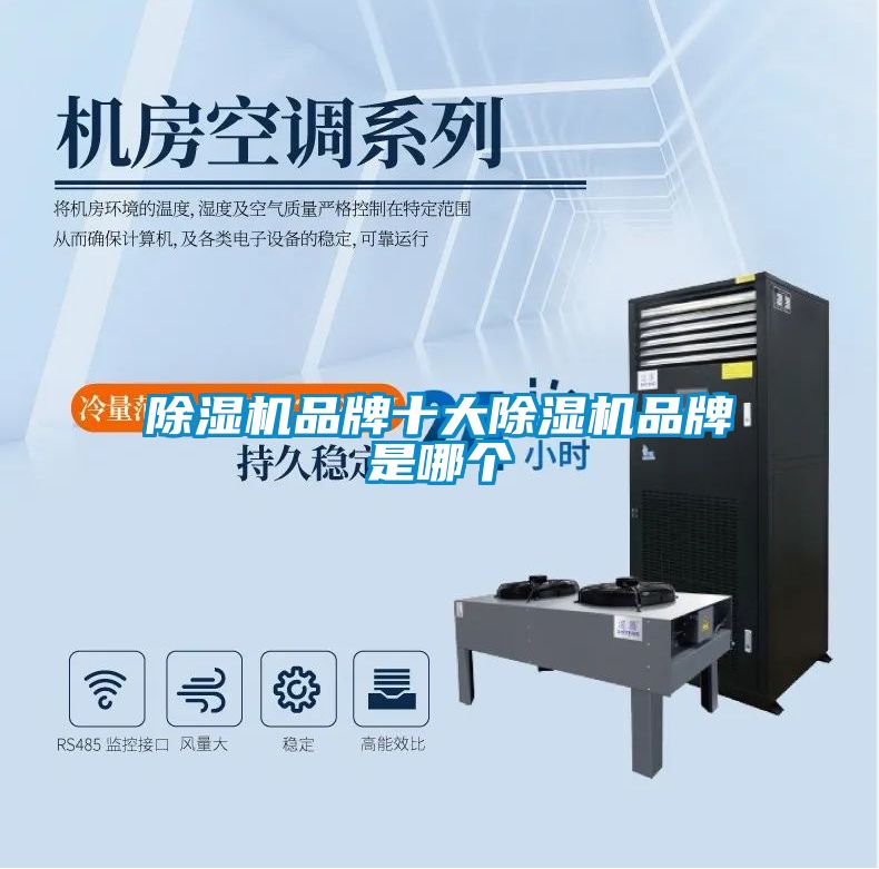 欧美黄色性爱视频网站 除湿机品牌十大除湿机品牌是哪个
