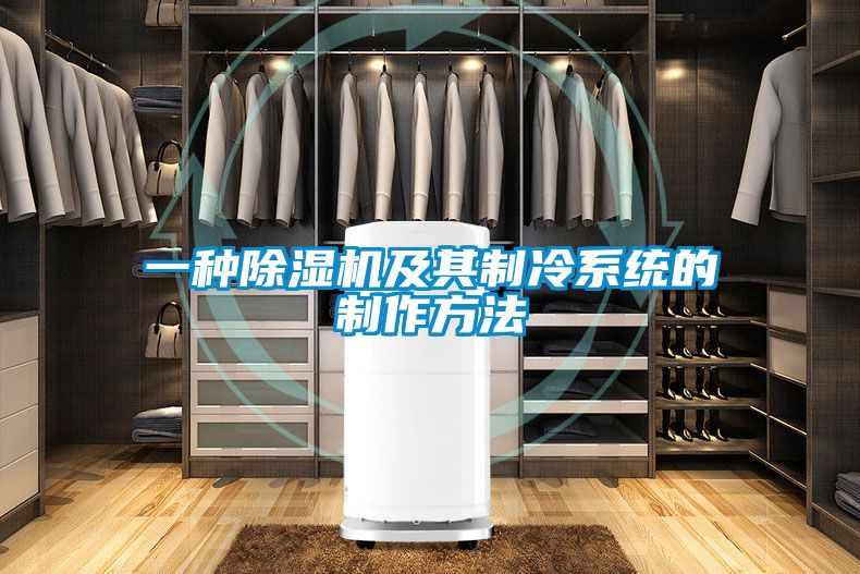 一种除湿机及其制冷系统的制作方法