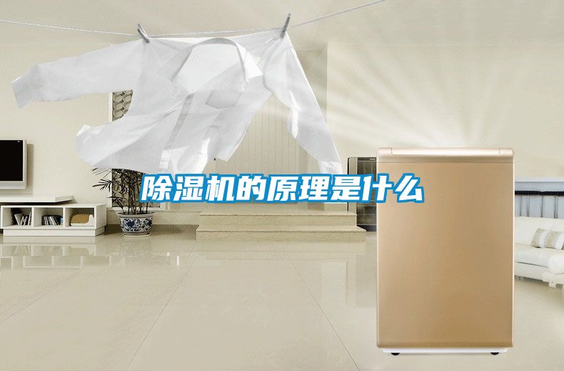 欧美成色手机在线观看 除湿机的原理是什么