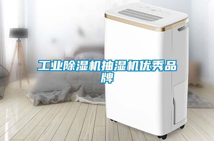 欧美黄色电影在线播放 工业除湿机抽湿机优秀品牌