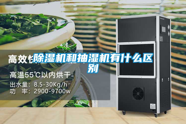 欧美黄色性爱视频网站 除湿机和抽湿机有什么区别