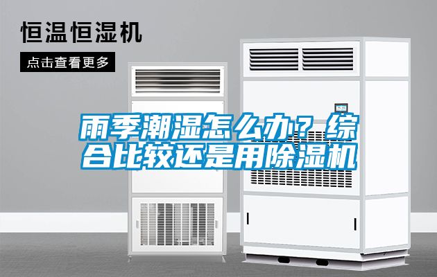 雨季潮湿怎么办？综合比较还是用除湿机