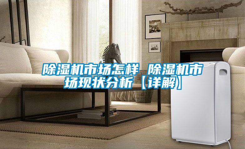 除湿机市场怎样 除湿机市场现状分析【详解】