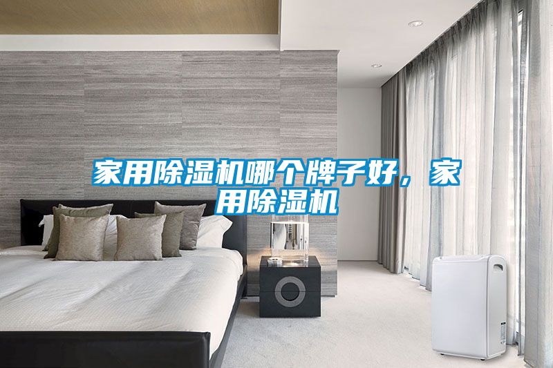 欧美黄色电影在线播放 家用除湿机哪个牌子好，家用除湿机