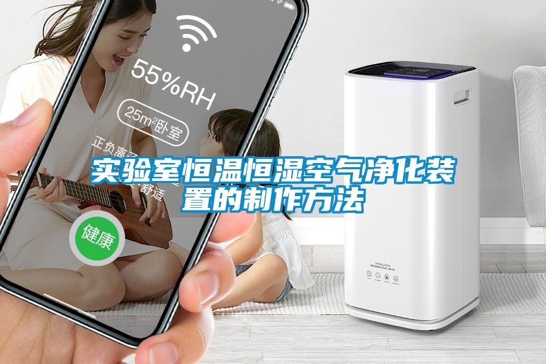 实验室恒温恒湿空气净化装置的制作方法