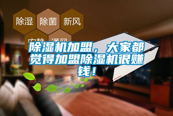 欧美成色手机在线观看 除湿机加盟，大家都觉得加盟除湿机很赚钱！