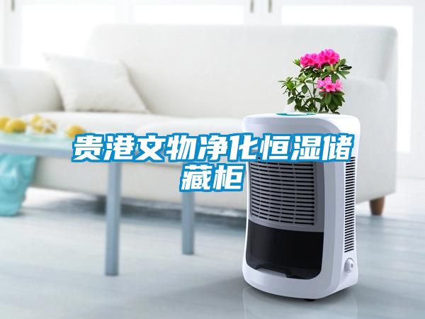 欧美成色手机在线观看 贵港文物净化恒湿储藏柜