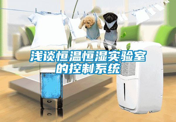 浅谈恒温恒湿实验室的控制系统