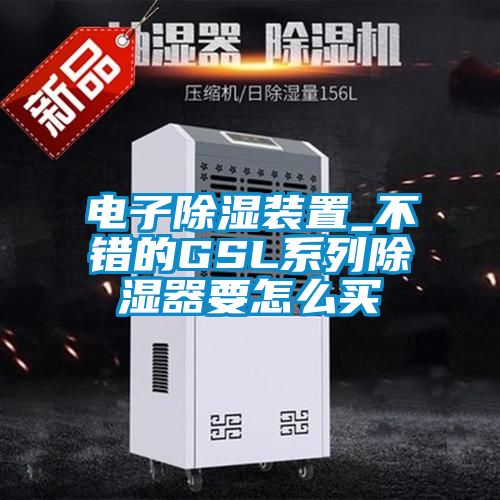 电子除湿装置_不错的GSL系列除湿器要怎么买