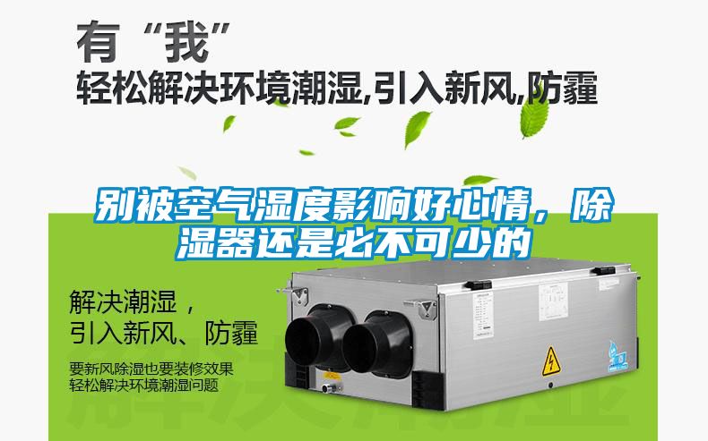 欧美黄色电影在线播放 别被空气湿度影响好心情，除湿器还是必不可少的