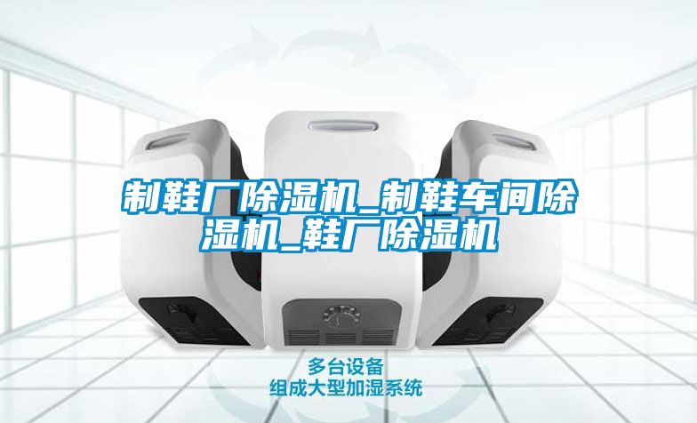 欧美黄色性爱视频网站 制鞋厂除湿机_制鞋车间除湿机_鞋厂除湿机