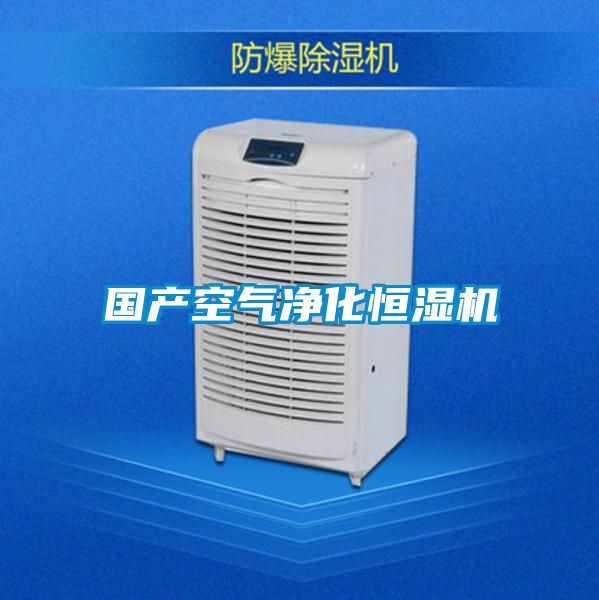 国产空气净化恒湿机