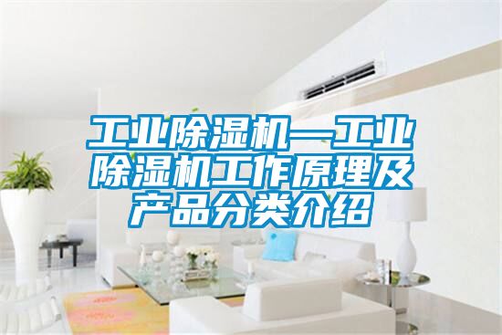 工业除湿机—工业除湿机工作原理及产品分类介绍