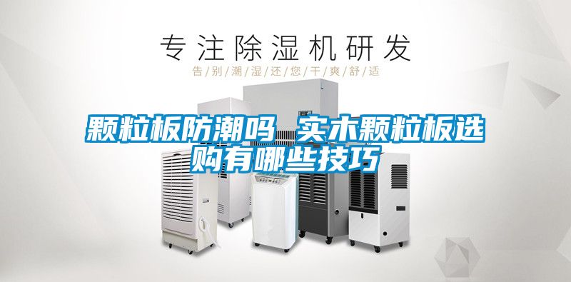 欧美成色手机在线观看 颗粒板防潮吗 实木颗粒板选购有哪些技巧