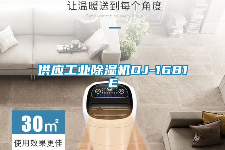 供应工业除湿机DJ-1681E