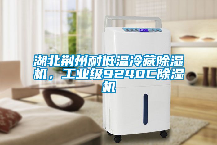 湖北荆州耐低温冷藏除湿机，工业级9240C除湿机