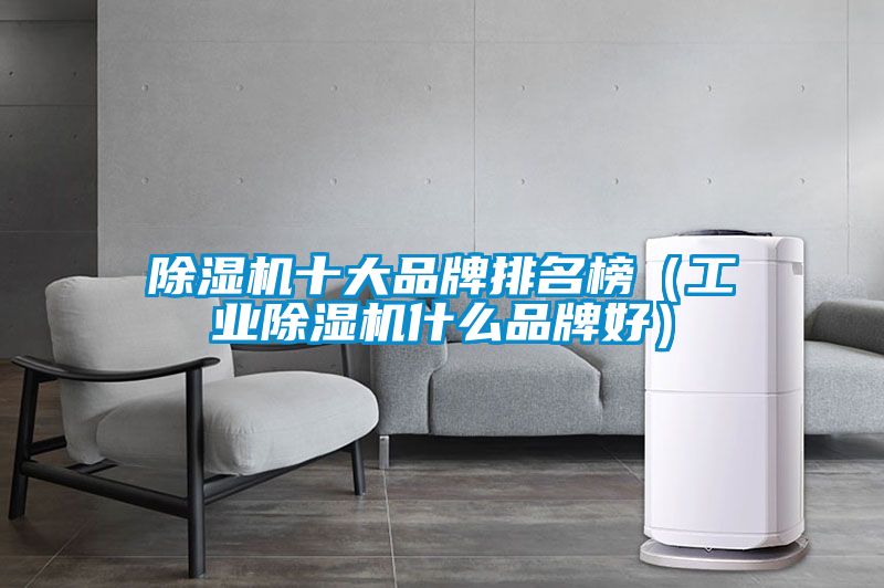 除湿机十大品牌排名榜（工业除湿机什么品牌好）